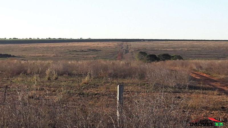 Foto principal: FAZENDA EM GAÚCHA DO NORTE - MT  (PRODUZINDO GRÃOS E PECUÁRIA)