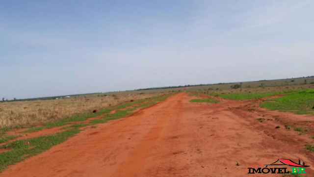 FAZENDA EM QUERÊNCIA - MT  (CAPINÓPOLIS) — foto 2