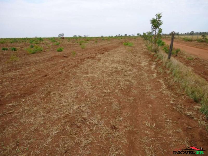FAZENDA EM RIBEIRÃO CASCALHEIRA - MT  (ALTIMA) — foto 2