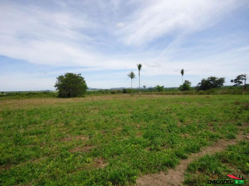 Foto principal: FAZENDA EM SANTANA DO ARAGUAIA - PA  (SANTA MARIA)