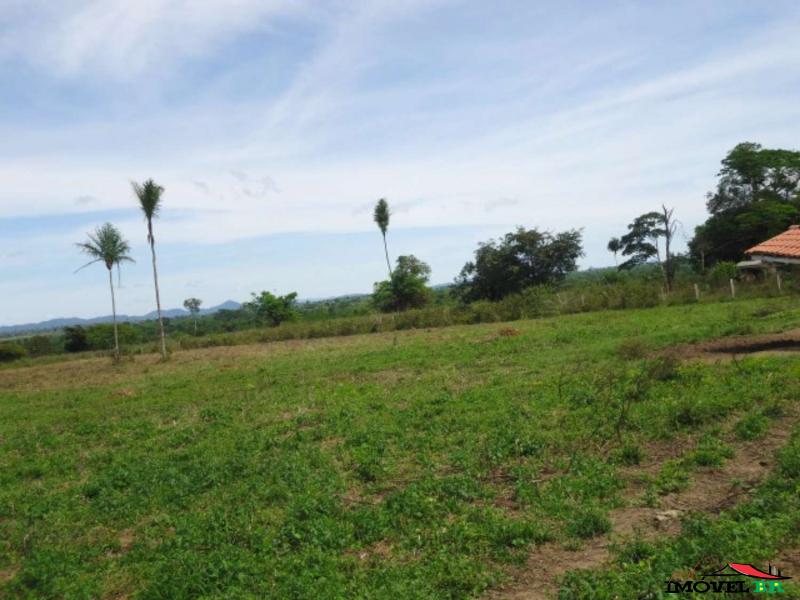FAZENDA EM SANTANA DO ARAGUAIA - PA  (SANTA MARIA) — foto 2