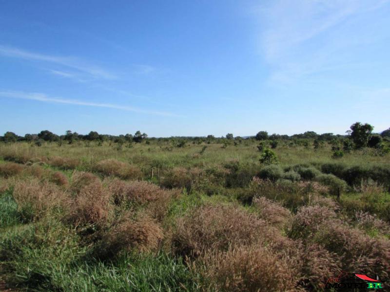 Foto principal: FAZENDA EM ÁGUA BOA - MT  (COM PASTAGEM PRA RECRIA ENGORDA)