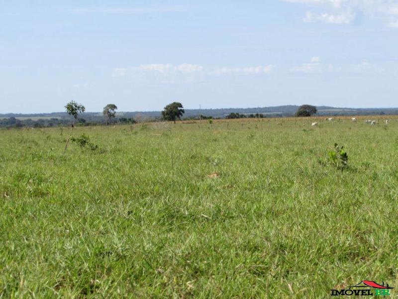 FAZENDA EM ÁGUA BOA -MT (ABERTA EM PASTAGEM QUE PODE VIRAR AGRICULTURA — foto 2