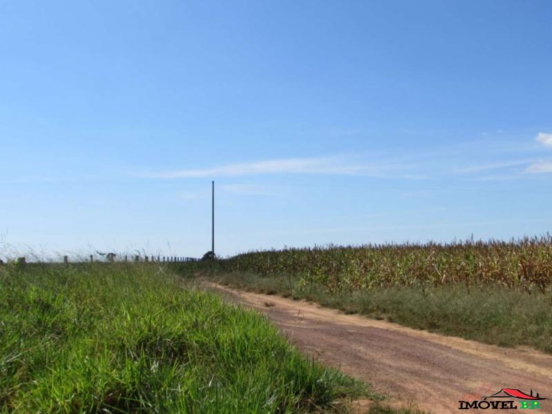 FAZENDA EM ÁGUA BOA - MT  (PRODUZINDO SOJA E MILHO) — foto 2