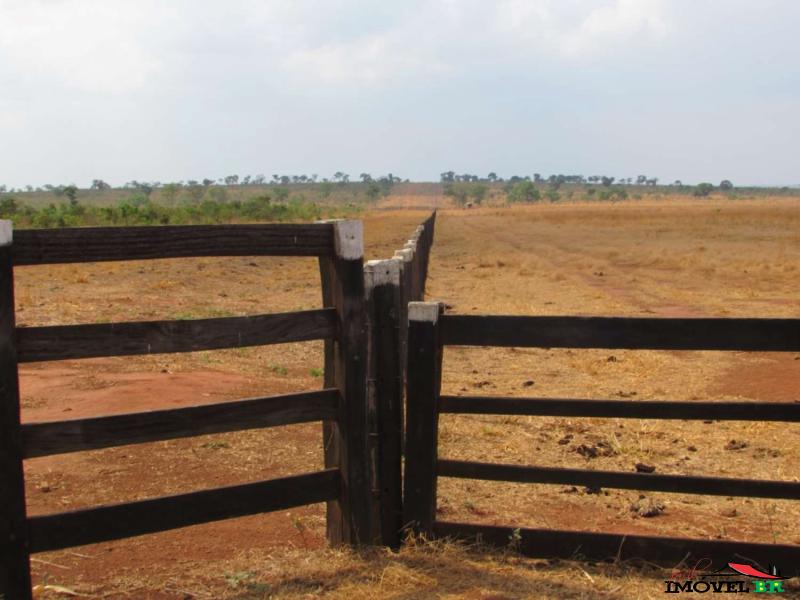 FAZENDA EM CAMPINÁPOLIS - MT  (SOJA E CRIAÇÃO BOVINA) — foto 2