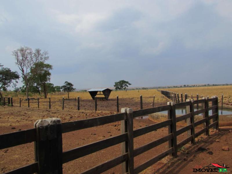 Foto principal: FAZENDA EM CAMPINÁPOLIS - MT  (SOJA E CRIAÇÃO BOVINA)