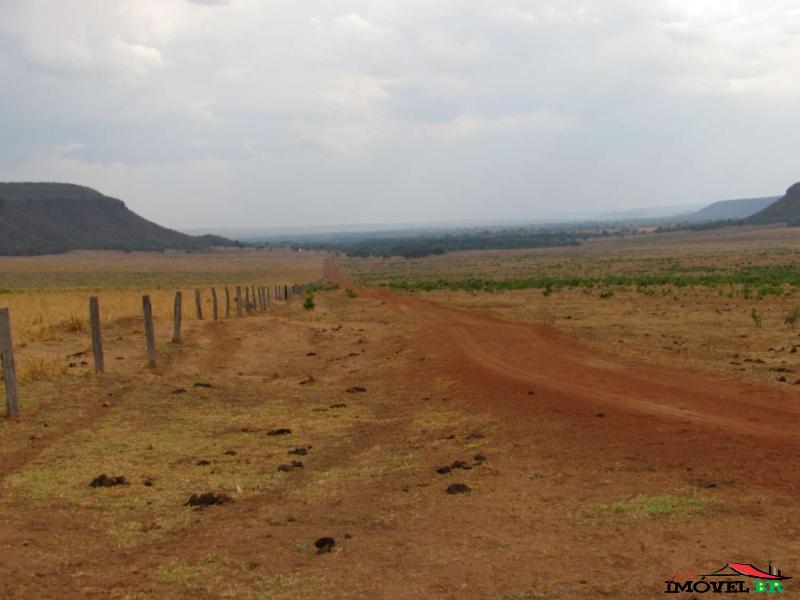 Foto principal: FAZENDA EM CAMPINÁPOLIS - MT (PECUÁRIA PODENDO PLANTAR SOJA)