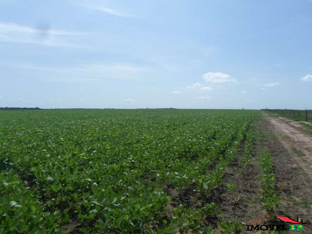 FAZENDA DE DUPLA APTIDÃO Para uso em Pecuária / Agricultura. — foto 3