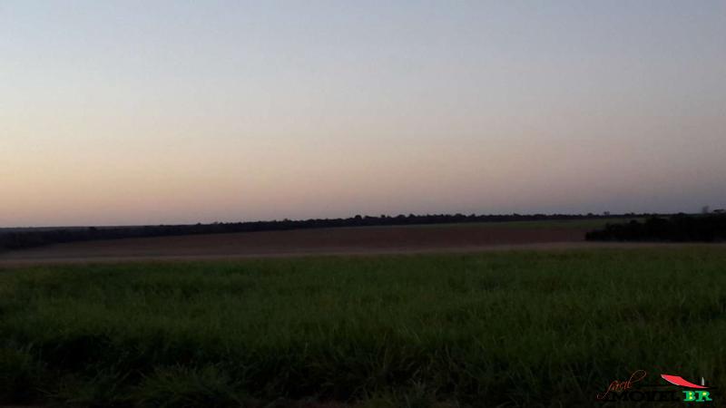 FAZENDA para uso em Agricultura — foto 3