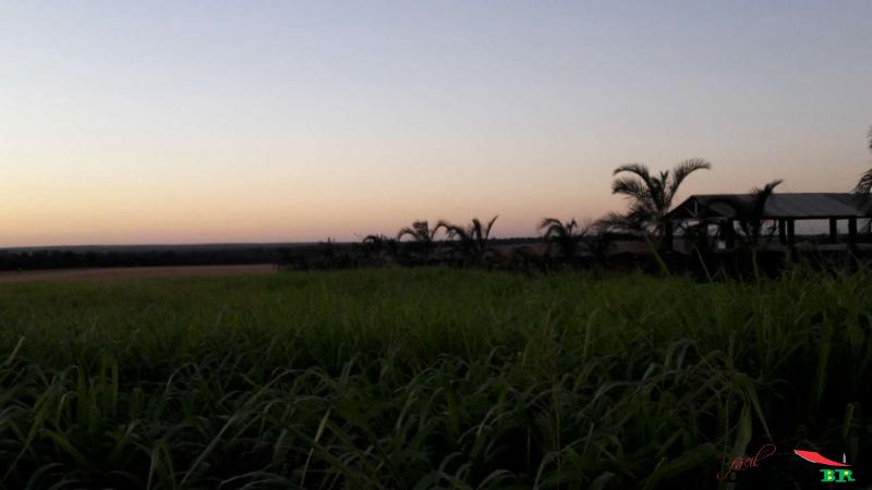 Foto principal: FAZENDA para uso em Agricultura