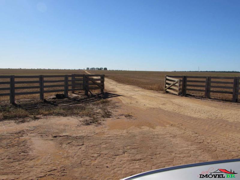 Foto principal: FAZENDA EM GAÚCHA DO NORTE - MT Para uso em Agricultura.