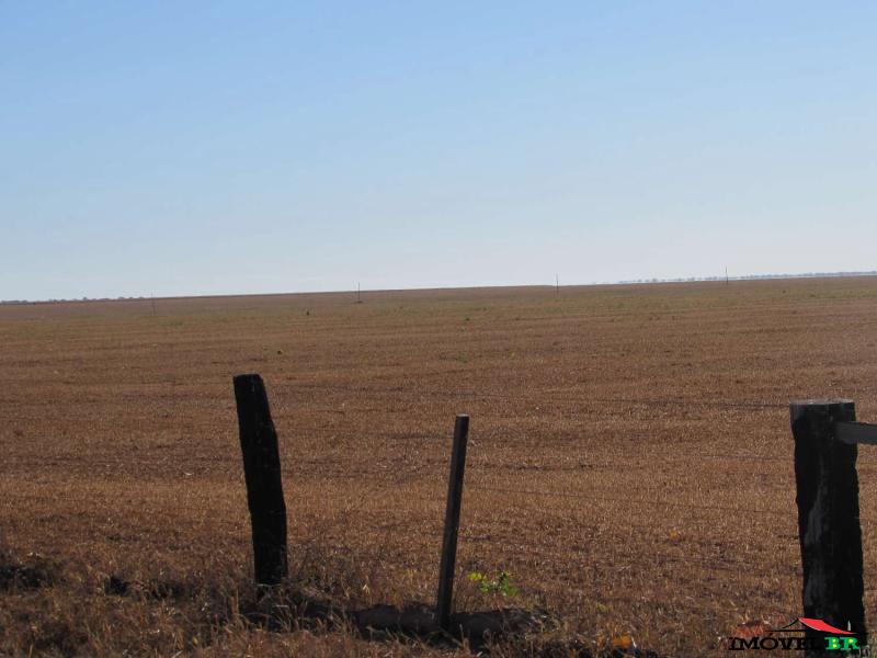 FAZENDA EM GAÚCHA DO NORTE - MT Para uso em Agricultura. — foto 3