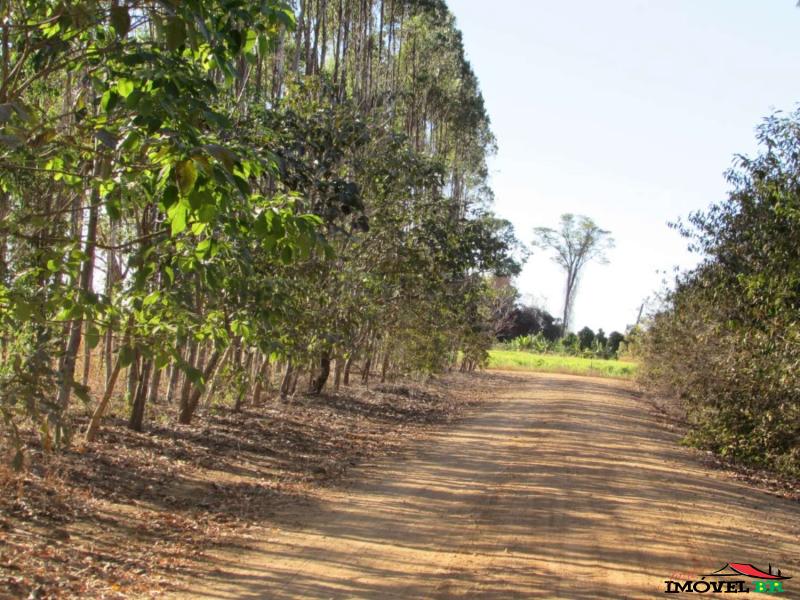 Foto principal: FAZENDA COM CRIAÇÃO BOVINA E AGRICULTURA ROTACIONADO