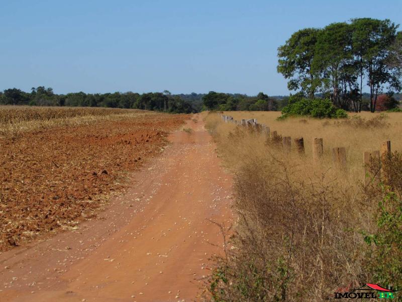 Foto principal: FAZENDA 1.020,00 HECTARES