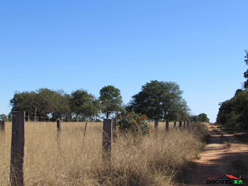 FAZENDA 1.020,00 HECTARES — foto 2