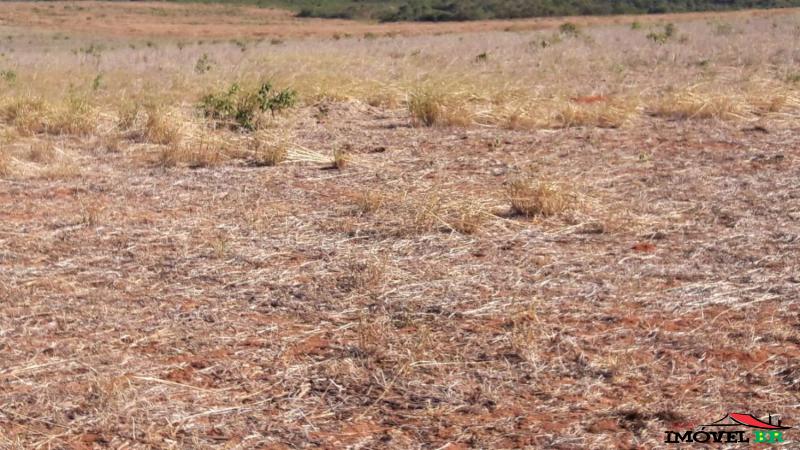 FAZENDA PARA TROCA OU PERMUTA — foto 2