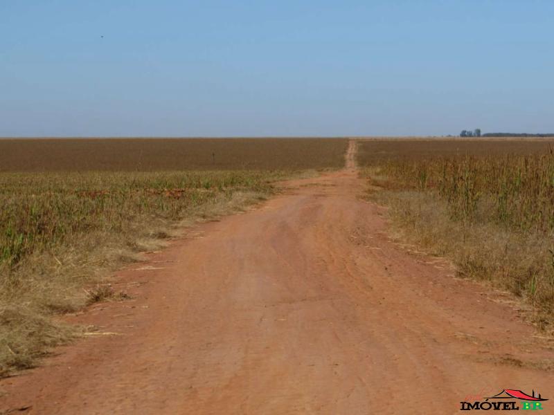 FAZENDA PRODUZINDO SOJA E MILHO — foto 3