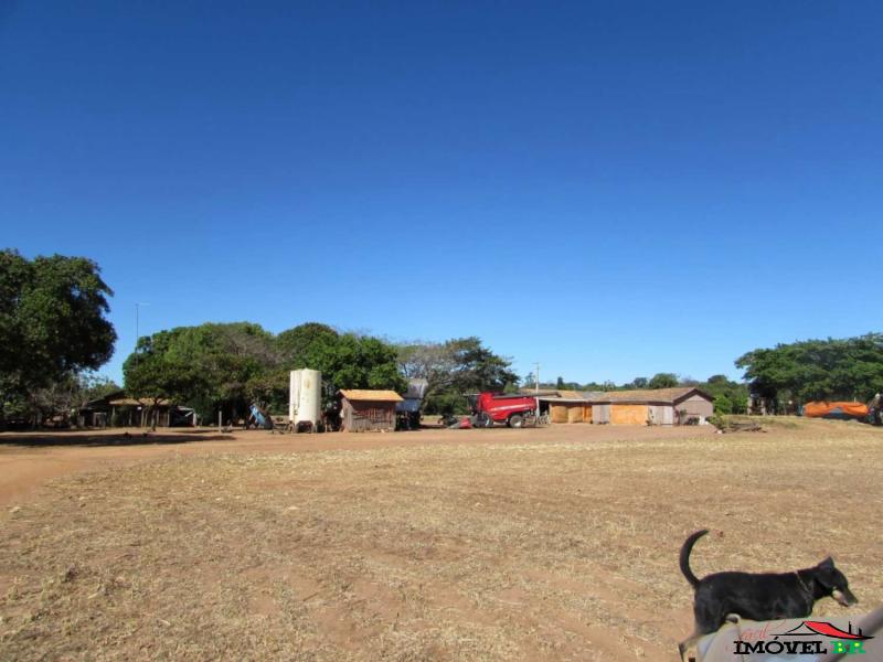 Foto principal: FAZENDA PRODUZINDO SOJA E MILHO