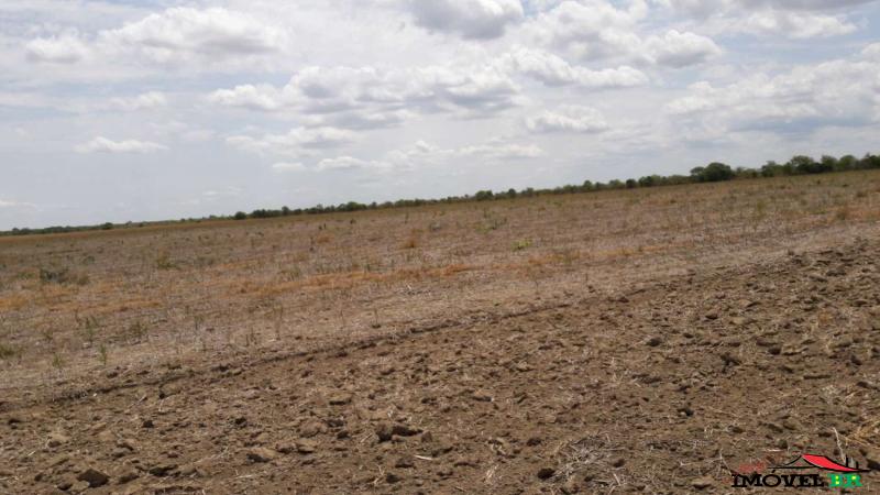 FAZENDINHA COM 90% DE APROVEITAMENTO — foto 2