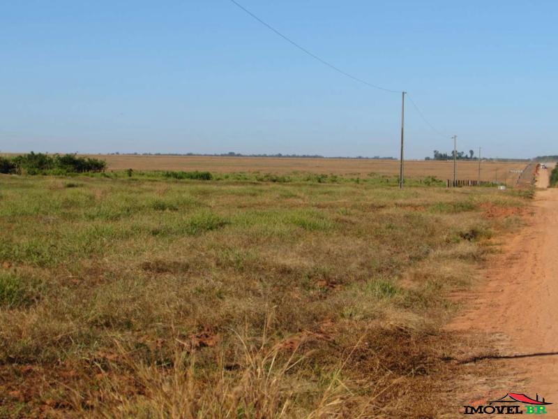 Foto principal: FAZENDINHA PRODUZINDO SOJA E MILHO Para uso em Agricultura.