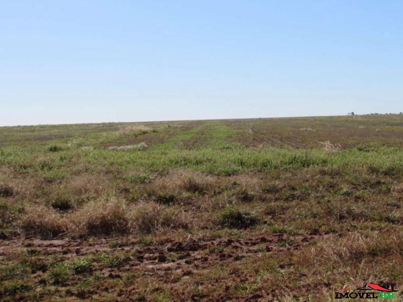 FAZENDINHA PRODUZINDO SOJA E MILHO Para uso em Agricultura. — foto 2