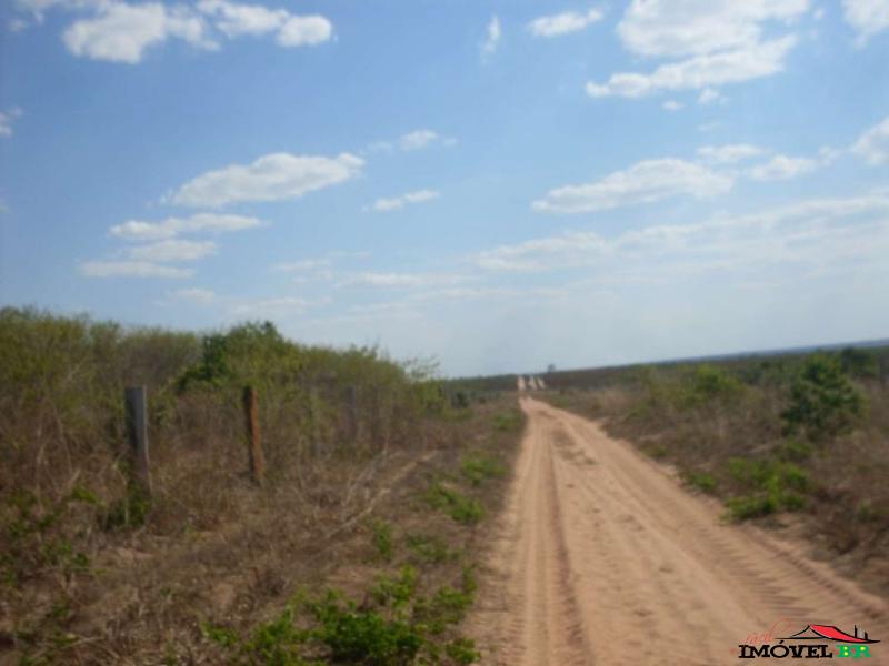 Foto principal: FAZENDA PRA CRIAÇÃO BOVINA
