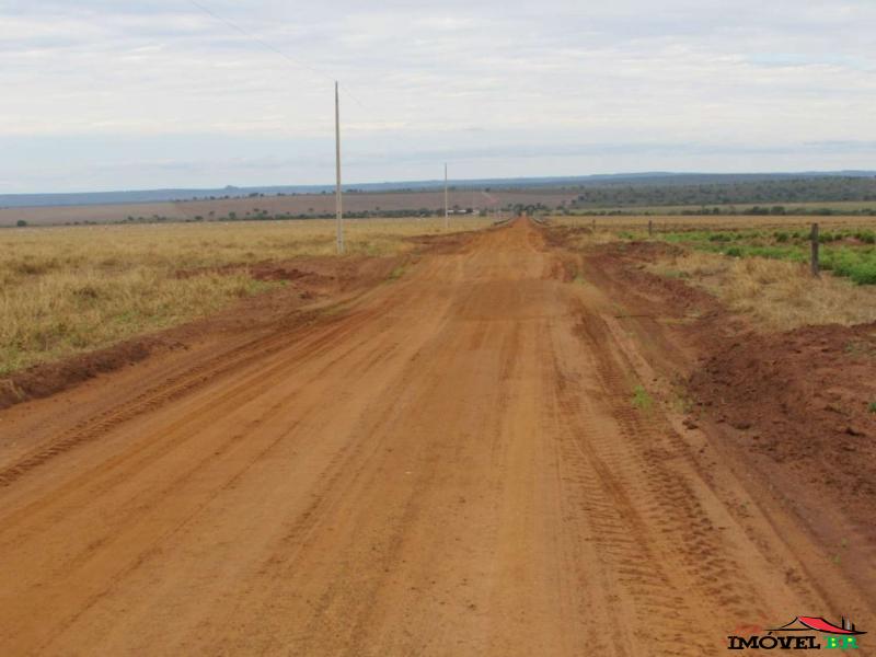 FAZENDA PRODUZINDO SOJA E MILHO E PECUÁRIA EM PASTAGEM ROTACIONADO — foto 2