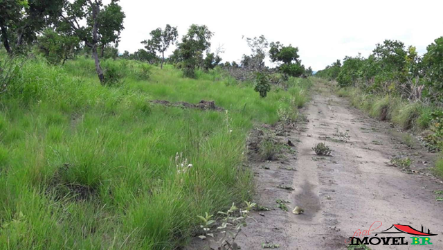 FAZENDA PRA CRIAÇÃO BOVINA E TURISMO — foto 3