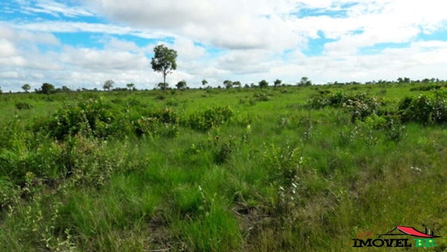Foto principal: FAZENDA PRA CRIAÇÃO BOVINA E TURISMO