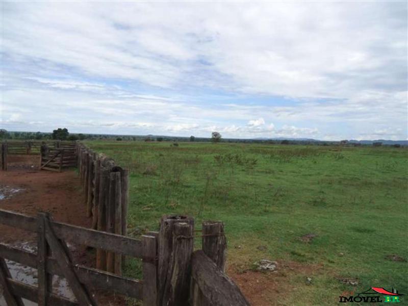 FAZENDA PECUÁRIA PODENDO PLANTAR SOJA EM 90% DA ÁREA ABERTA. — foto 3