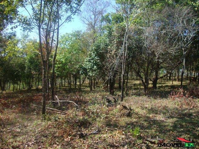 ÁREA EM CHAPADA DOS GUIMARÃES -MT — foto 3