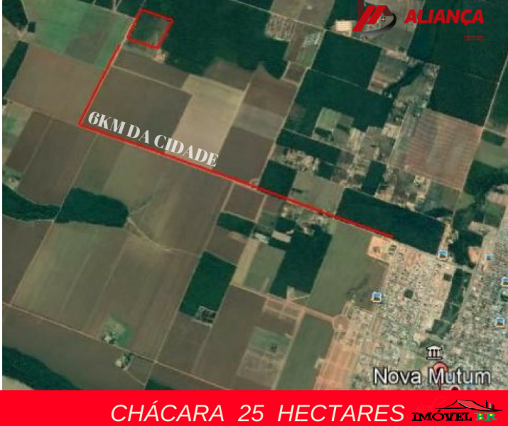 ÓTIMA CHÁCARA — foto 2