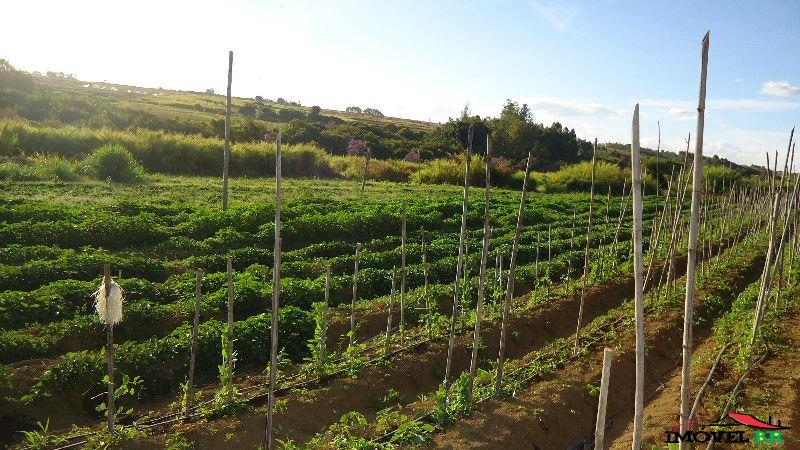Chácara do Egito, na Igrejinha do Rodeador 32,8ha — foto 2