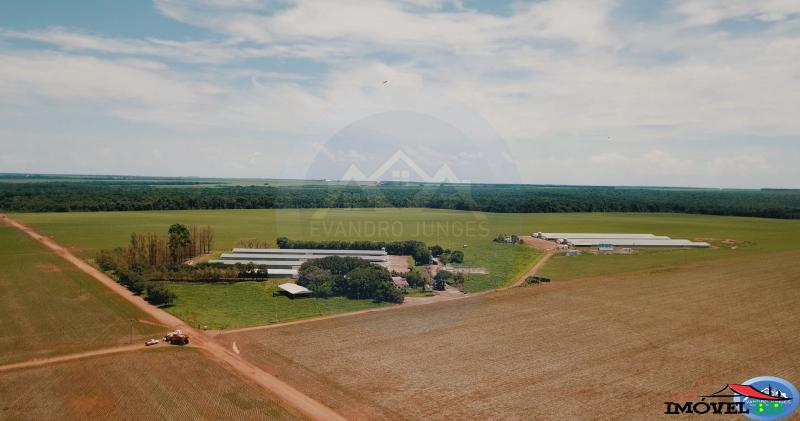 🏛️🐥Vendo Área com 2 Núcleos de Aviários🐥🏛️ — foto 3