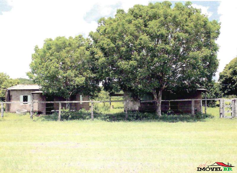 Propriedade rural à venda- FAZENDA LIMOEIRO — foto 3
