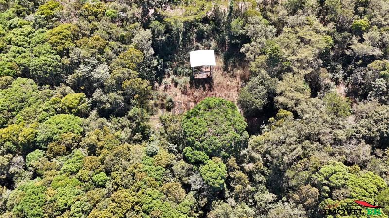 🌳Vendo Chácara 9 km de Nova Mutum-MT🌳 — foto 2