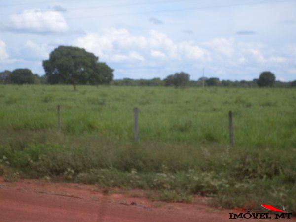 Fazenda em Juina — foto 2