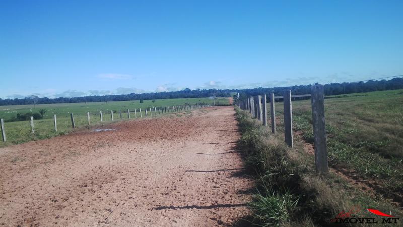 Foto principal: Fazenda em Juina
