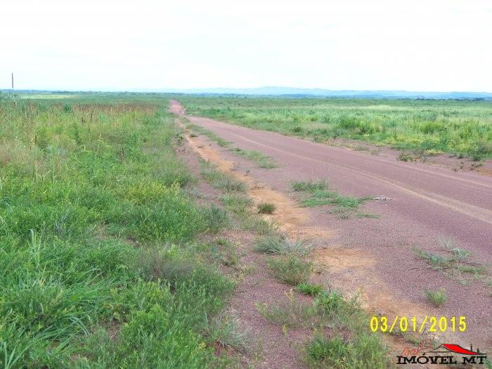 FAZENDA NOVA BRASILÂNDIA. — foto 3