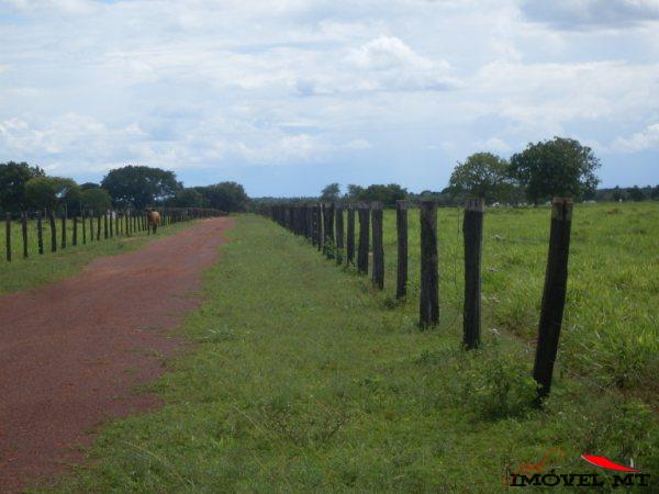 FAZENDA NO MANSO. — foto 3