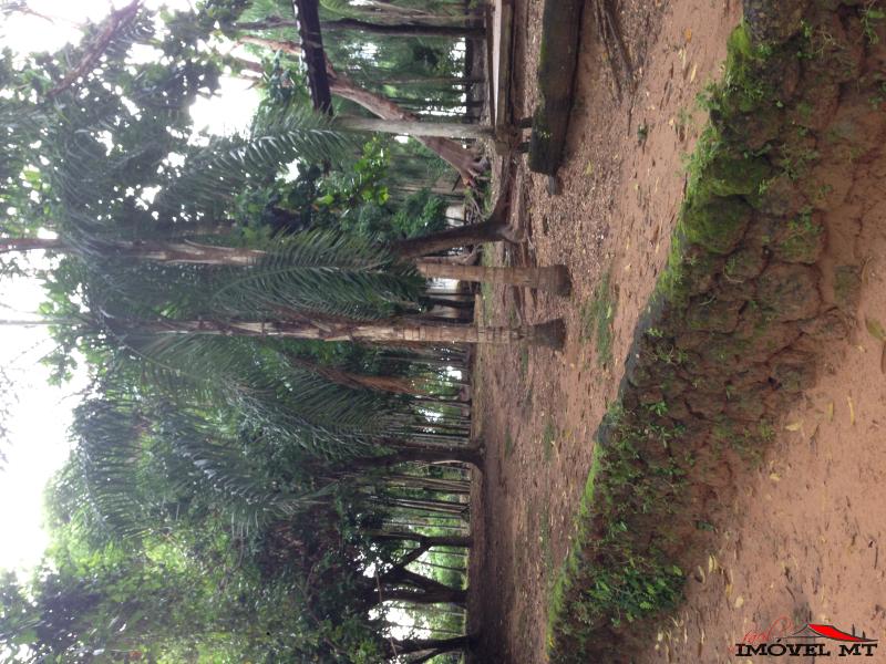 FAZENDA NO MANSO. — foto 2
